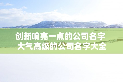 创新响亮一点的公司名字 大气高级的公司名字大全