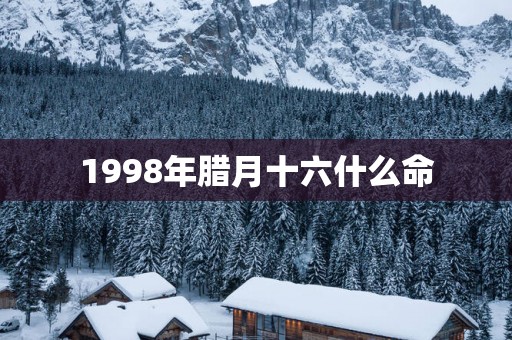 1998年腊月十六什么命