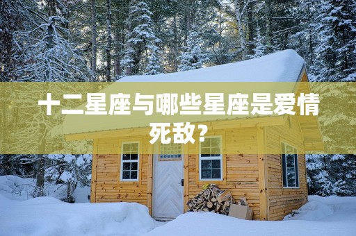 十二星座与哪些星座是爱情死敌？