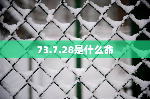 73.7.28是什么命