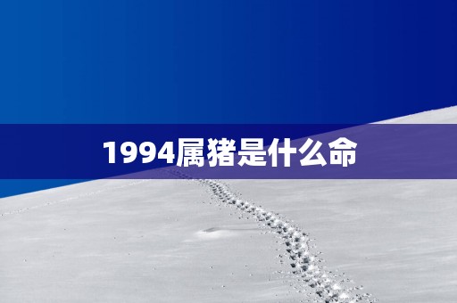 1994属猪是什么命