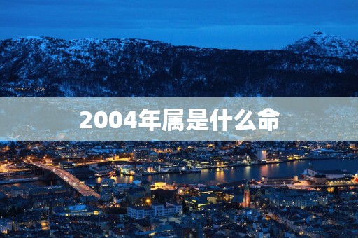 2004年属是什么命