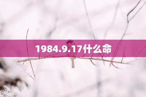 1984.9.17什么命