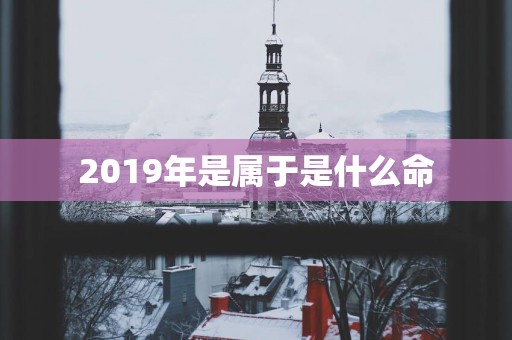 2019年是属于是什么命