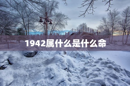 1942属什么是什么命