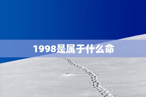 1998是属于什么命
