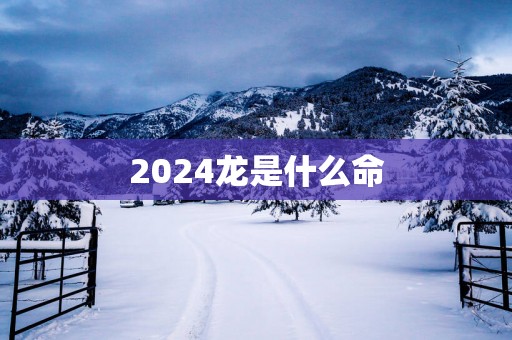 2025龙是什么命