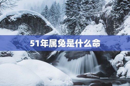 51年属兔是什么命