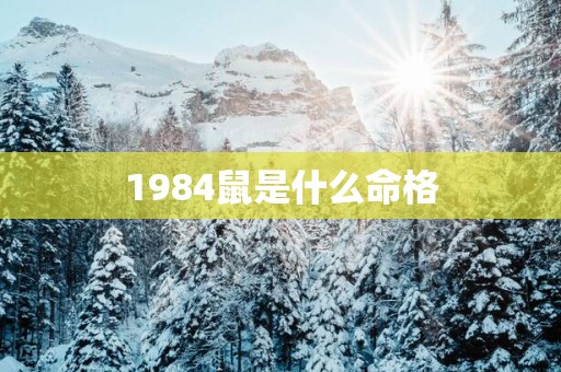 1984鼠是什么命格