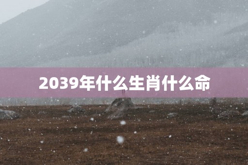 2039年什么生肖什么命