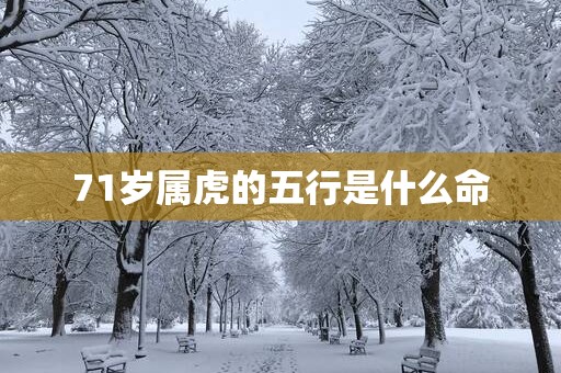 71岁属虎的五行是什么命