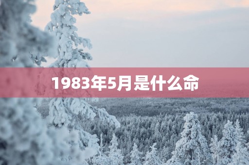 1983年5月是什么命
