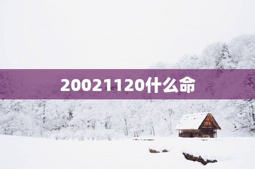 20021120什么命