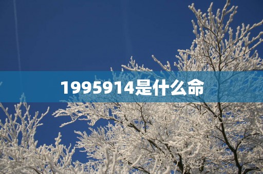 1995914是什么命