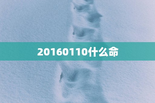 20160110什么命