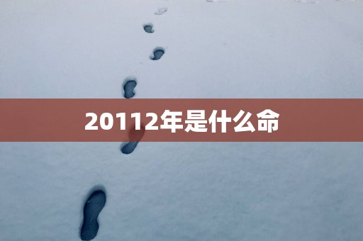 20112年是什么命
