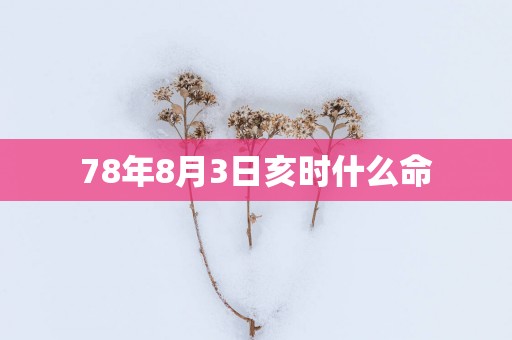 78年8月3日亥时什么命