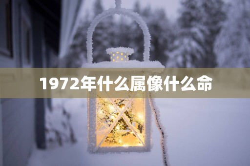 1972年什么属像什么命