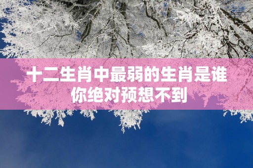 十二生肖中最弱的生肖是谁 你绝对预想不到