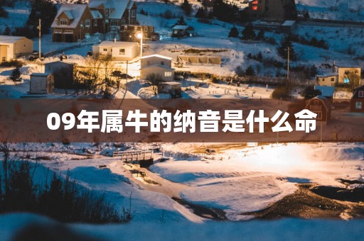 09年属牛的纳音是什么命