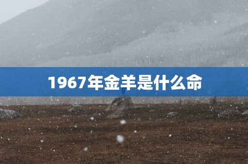 1967年金羊是什么命