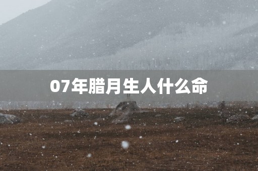 07年腊月生人什么命