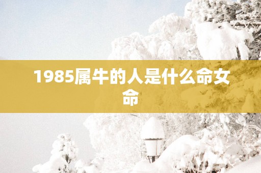 1985属牛的人是什么命女命