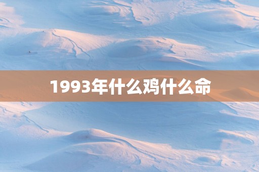 1993年什么鸡什么命