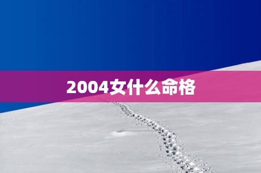 2004女什么命格