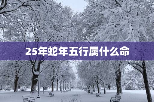 25年蛇年五行属什么命
