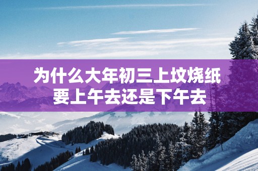为什么大年初三上坟烧纸 要上午去还是下午去