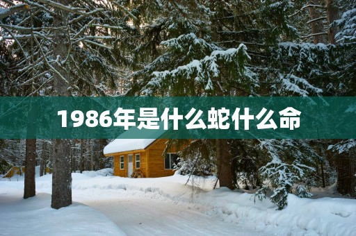 1986年是什么蛇什么命