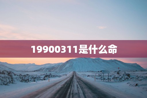 19900311是什么命