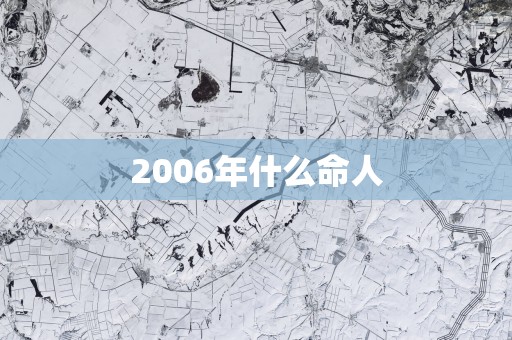 2006年什么命人