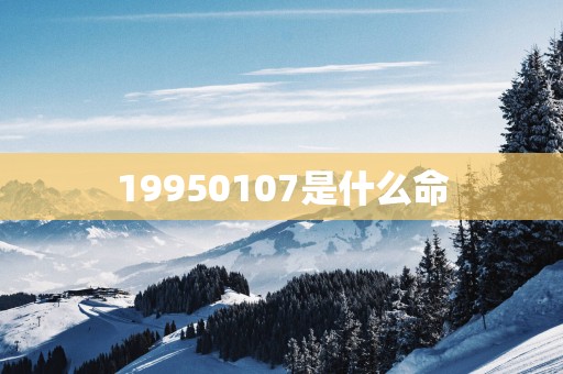 19950107是什么命
