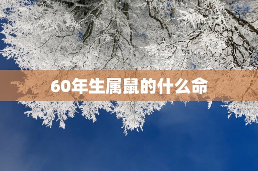 60年生属鼠的什么命