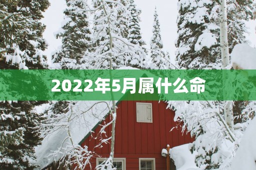 2025年5月属什么命