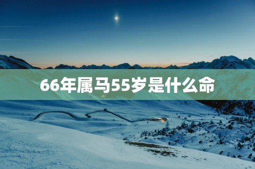 66年属马55岁是什么命