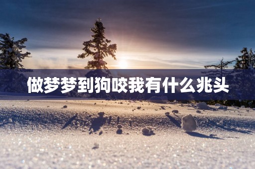 做梦梦到狗咬我有什么兆头