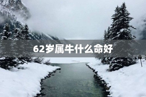 62岁属牛什么命好