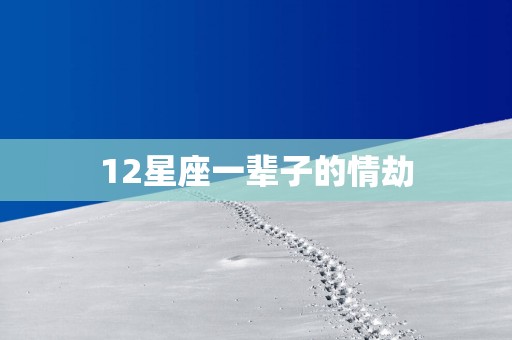 12星座一辈子的情劫