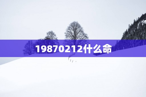 19870212什么命