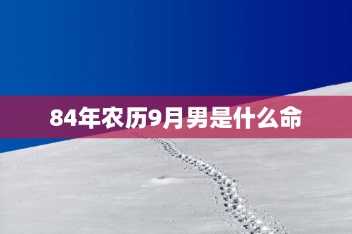 84年农历9月男是什么命