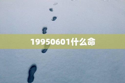 19950601什么命