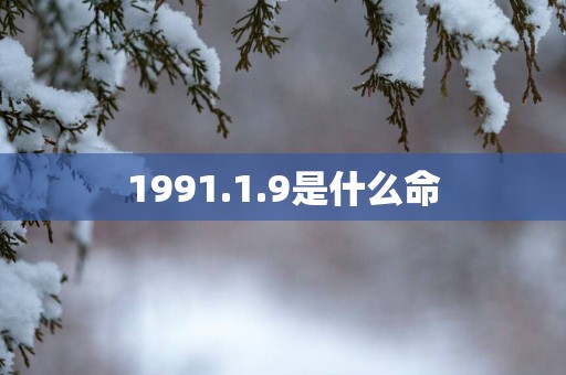 1991.1.9是什么命