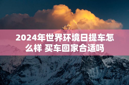 2025年世界环境日提车怎么样 买车回家合适吗