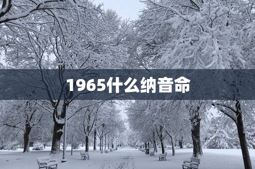 1965什么纳音命