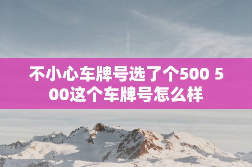 不小心车牌号选了个500 500这个车牌号怎么样
