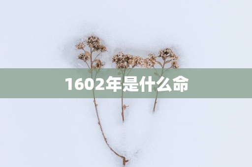 1602年是什么命
