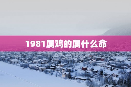 1981属鸡的属什么命